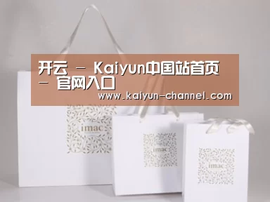 项目名称十一